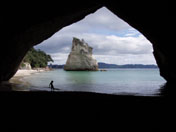 Coromandel