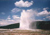 Old Faithful